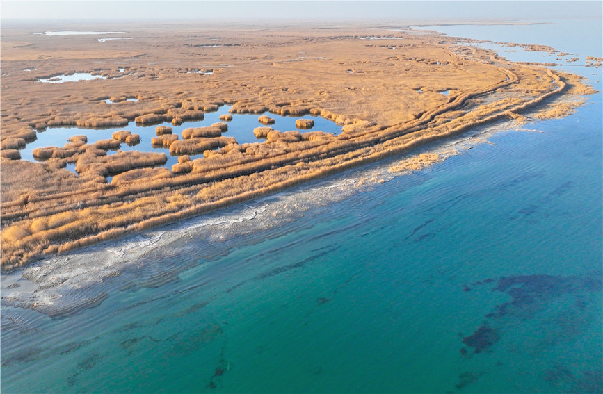 Gorgeous early winter views of Bostan Lake National Wetland Park in China's Xinjiang