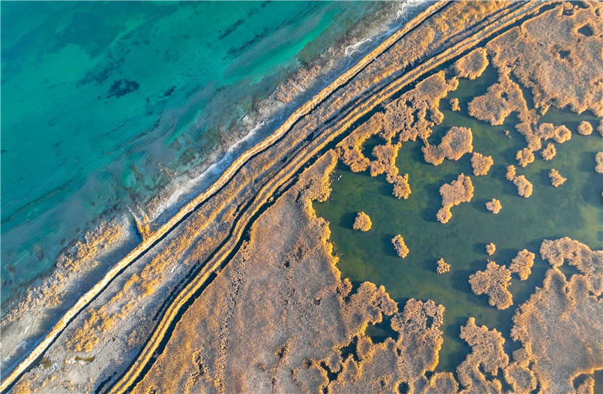 Gorgeous early winter views of Bostan Lake National Wetland Park in China's Xinjiang