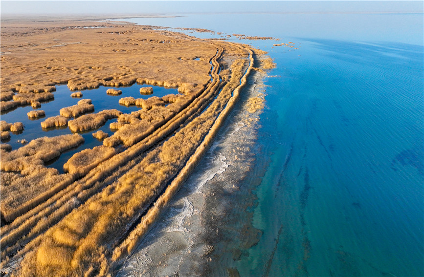 Gorgeous early winter views of Bostan Lake National Wetland Park in China's Xinjiang