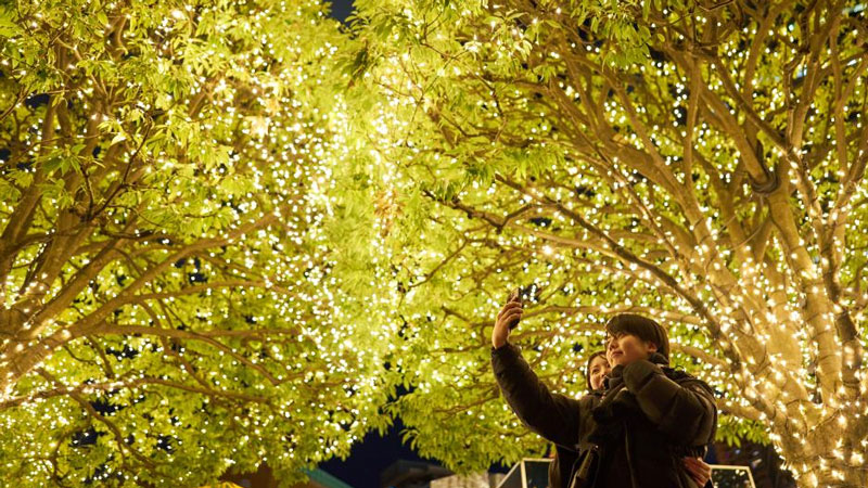 Christmas celebration in Tokyo, Japan