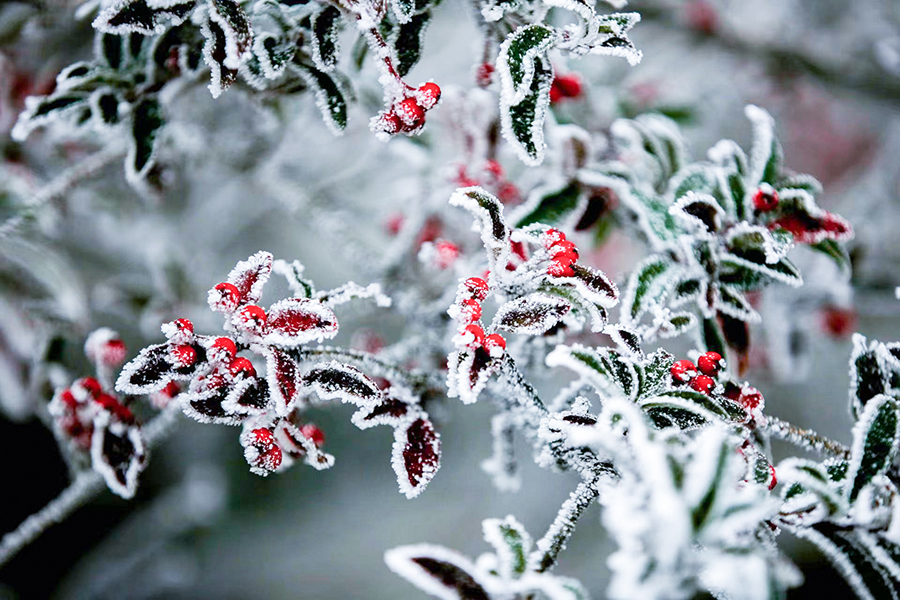 Spectacular rime scenery of Jinnao Mountain in SE China’s Fujian