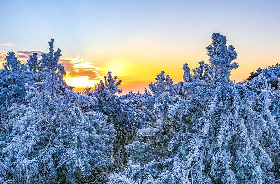 Spectacular rime scenery of Jinnao Mountain in SE China’s Fujian