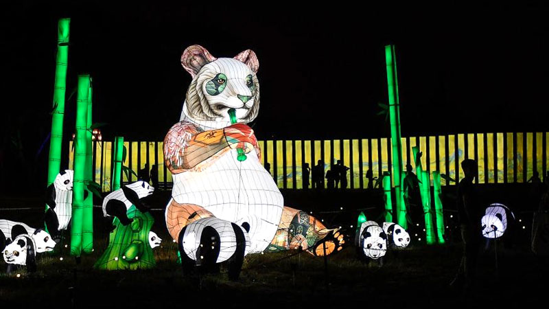 Chinese lantern festival held in Santiago, Chile