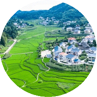 Guizhou