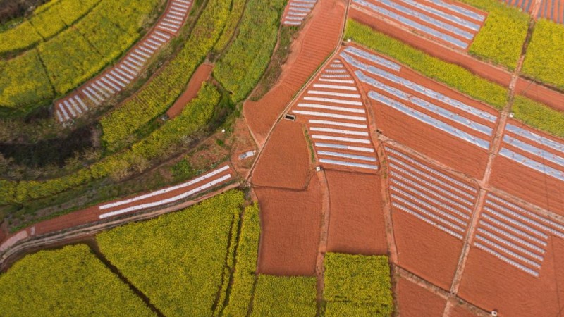 View of farmlands in Rongxian County, SW China's Sichuan