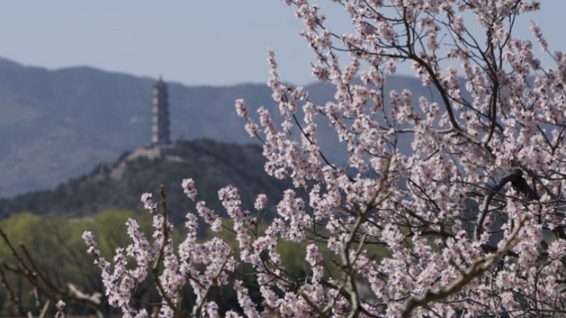 Scenery of Summer Palace in Beijing