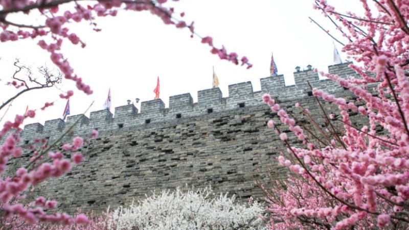 Blooming flowers attract tourists to Ming City Wall Site Park in Beijing