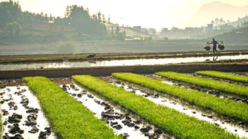 Spring ploughing in full swing across China