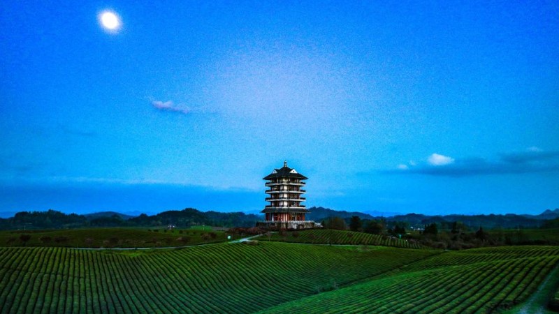 Spring scenery in SW China