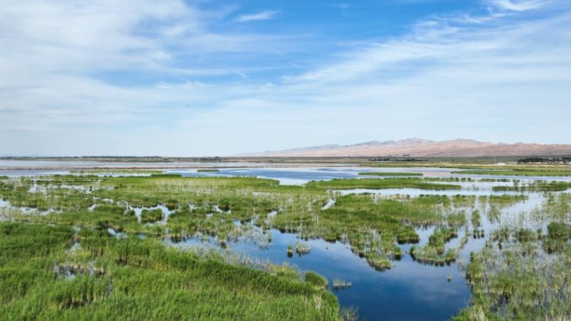 Aerial view of Ulan Suhai Lake in China's Inner Mongolia