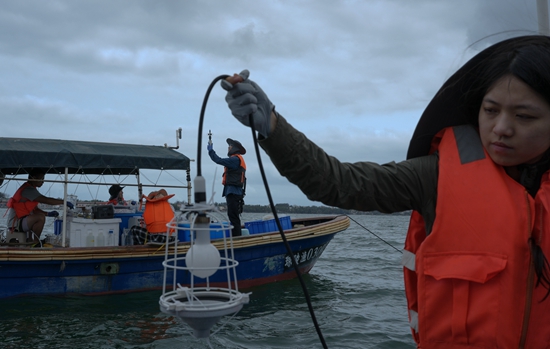 Xiamen University's young researchers explore seaweed's role in carbon capture