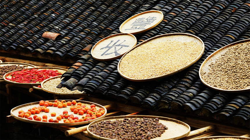 Beauty of harvest: Farmers sun-dry crops in C China's Hubei