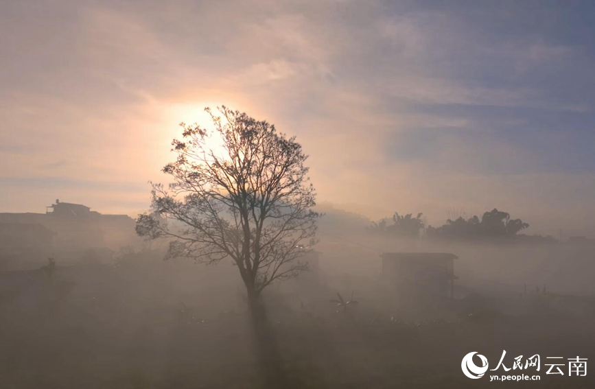 Stunning view of sea of clouds in Pu'er city, SW China's Yunnan