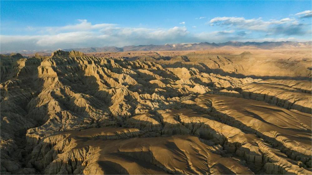 Landscape of earth forest in Zanda County, China's Xizang