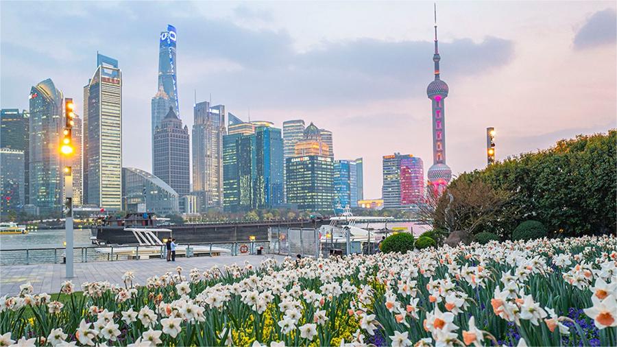 People savor beautiful sights of spring flowers across China