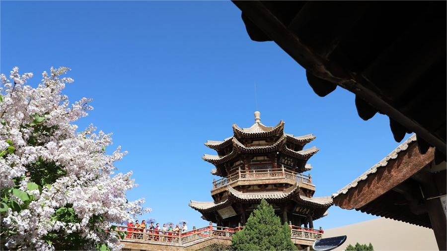 Spring scenery of NW China's Dunhuang delights visitors