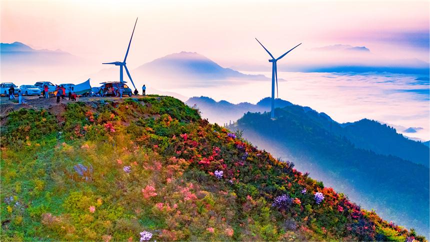 In pics: Magnificent view of blooming azalea flowers in E China's Jiangxi