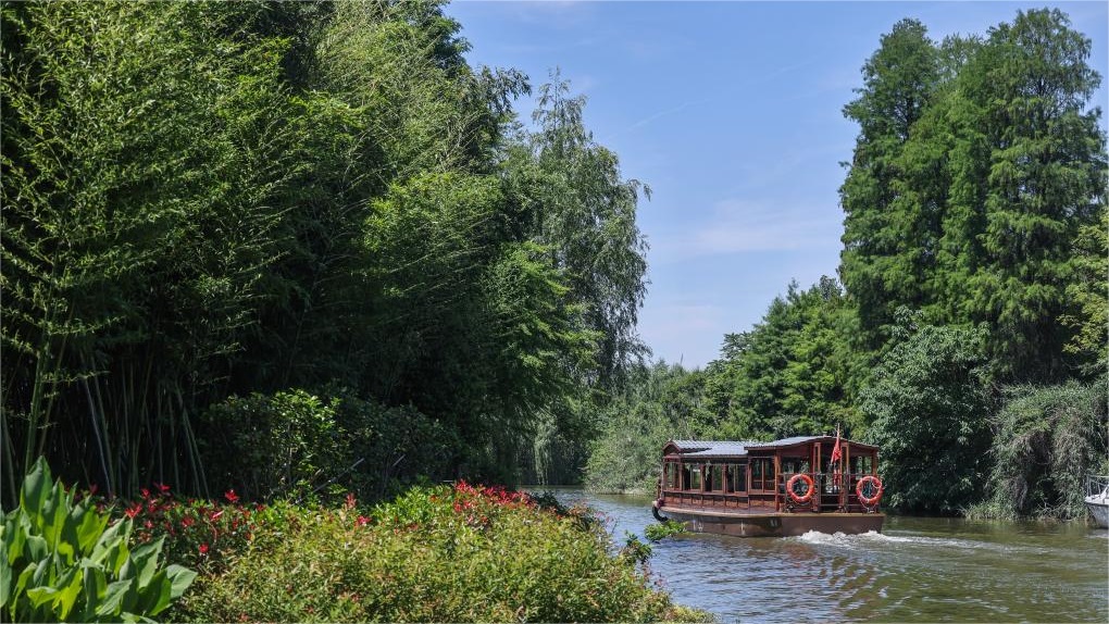 Zhejiang's national wetland park makes efforts to improve ecological environment