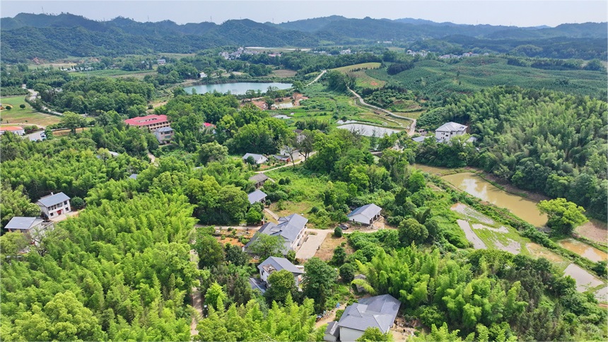 Yifeng county in E China's Jiangxi cultivates thriving bamboo industry