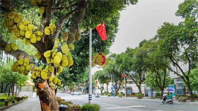 Roadside green belts in SW China's Yunnan hold a treasure trove of delights