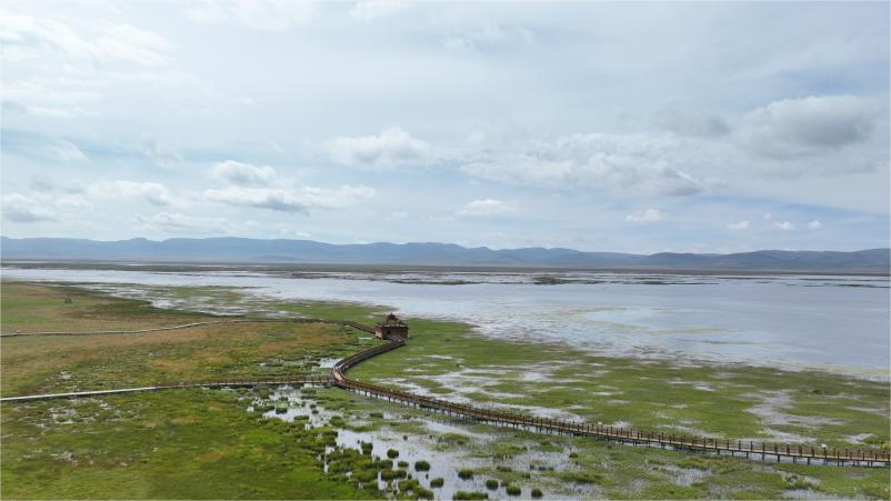 Scenery of Gahai Lake wetland in NW China's Gansu