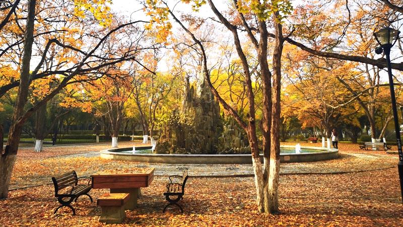 In pics: Beautiful autumn scenery of universities across China