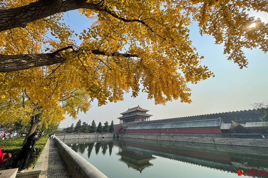 In pics: Autumn charm of Beijing