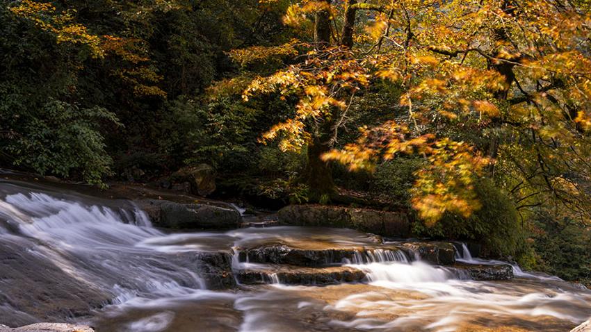 Towering waterfall, late autumn colors draw visitors to SW China's Yunnan