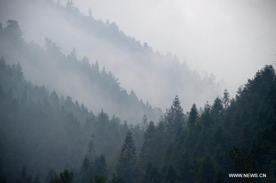 Photo taken on Nov. 10, 2012 shows the scenery near Tachuan scenic spot in the Huangshan Mountain area, east China's Anhui Province. The beautiful scenery of Huangshan Mountain in the early winter has attracted many tourists. (Xinhua/Guo Chen) 