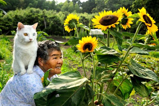 By Japanese photographer Miyoko Ihara. Photos are from her album "Misao the Big Mama and Fukumaru the Cat."