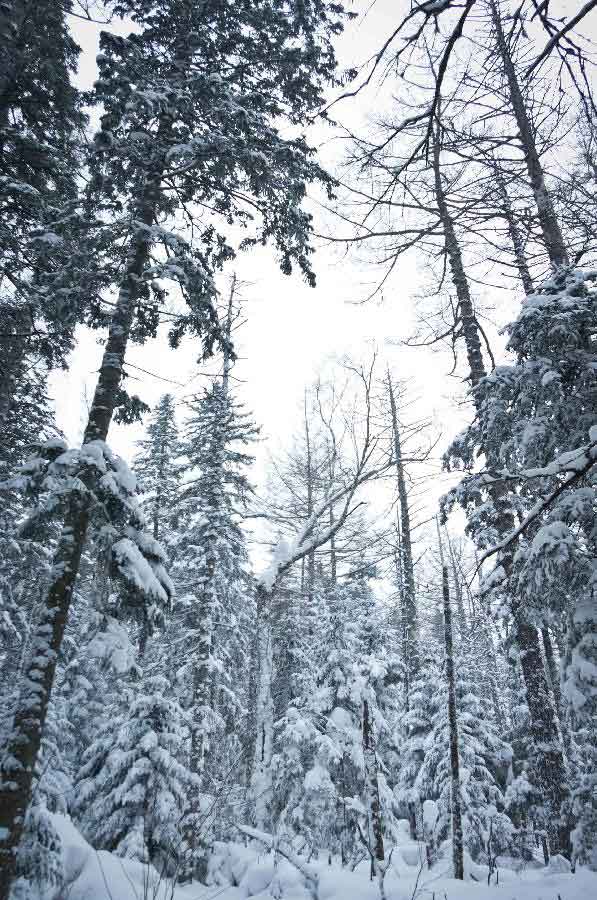 Photo taken on Nov. 28, 2012 shows the picturesque scene in Changbai Mountain in northeast China's Jilin Province. (Xinhua/Ma Caoran) 