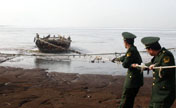 Sea ice forces fisherman to rush scallop harvest