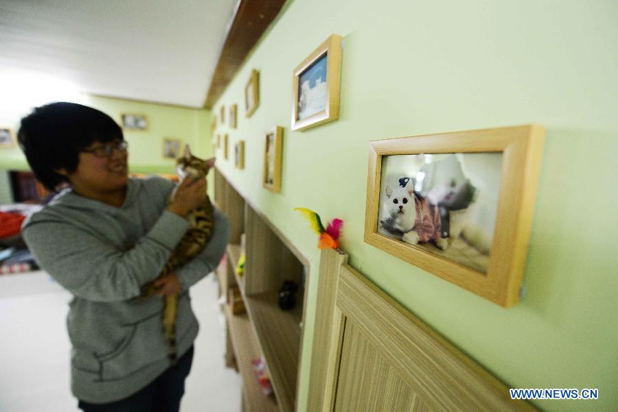 Photo taken on Dec. 13, 2012 shows Gao Ming holding a cat stands beside the cat-themed decorations on the wall at a cat-themed coffee bar in Harbin, capital of northeast China's Heilongjiang Province. (Xinhua/Wang Kai)