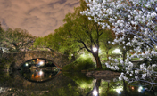 Breathtaking Photos of Central Park