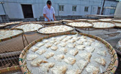 Shark fin soup a potentially dangerous delicacy