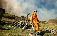 Forest fire hits Colombia