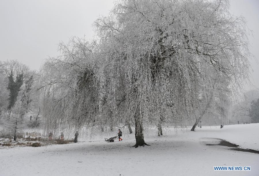 Photo taken on Jan. 23, 2013 shows the rime view in a park in Brussels, Belgium, after a heavy fog with low temperature. (Xinhua/Ye Pingfan) 