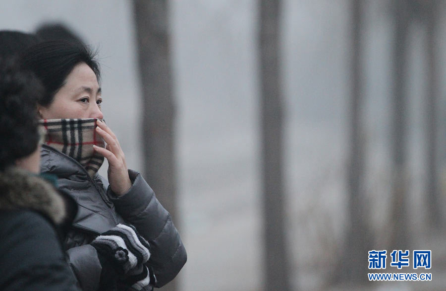 Beijing resident wears a breathing mask outside in the early morning of January 29th, 2013. (Photo/Xinhua)