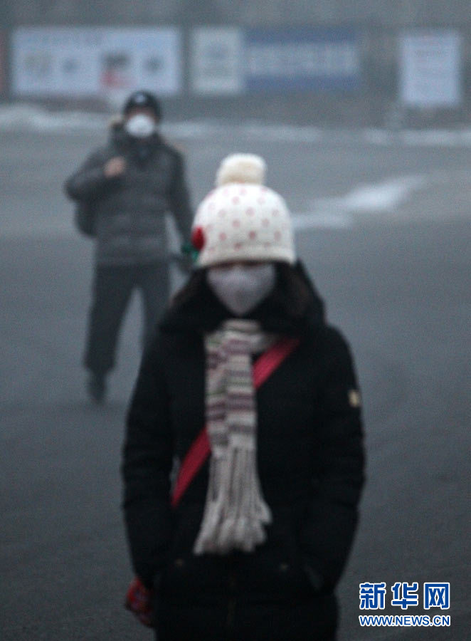 Beijing resident wears a breathing mask outside in the early morning of January 29th, 2013. (Photo/Xinhua)