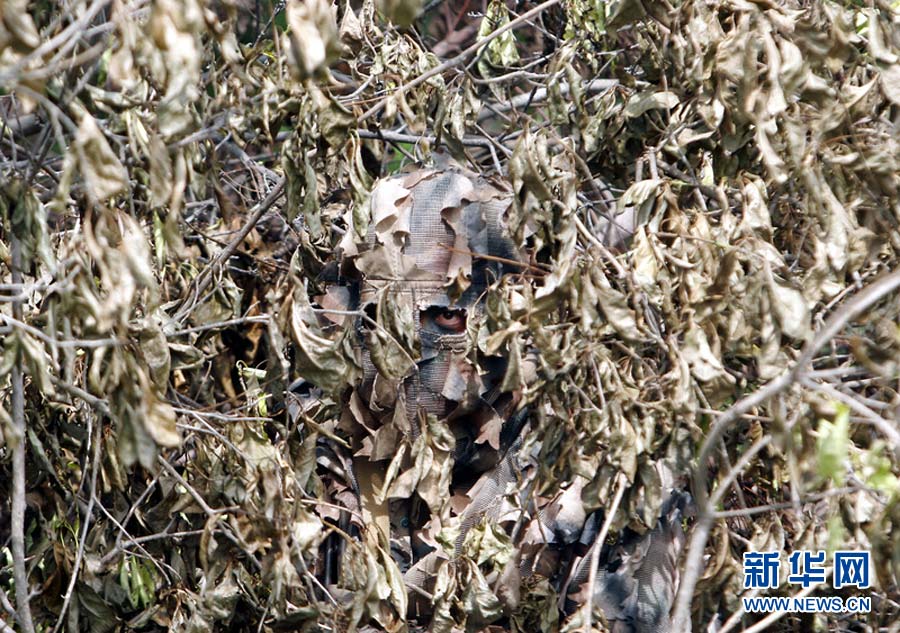 Photo taken on June 13, 2007 shows a soldier hiding behind a dead tree. (Photo/ Xinhua)