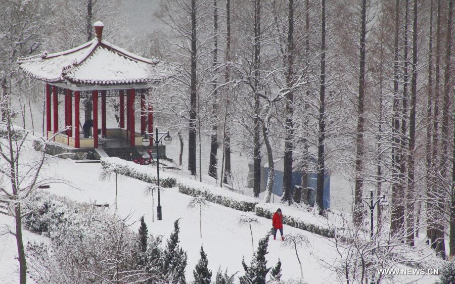 A woman walks on snow-covered road at a park in Ganyu County of Lianyungang City, east China's Jiangsu Province, Feb. 5, 2013. (Xinhua/Si Wei) 