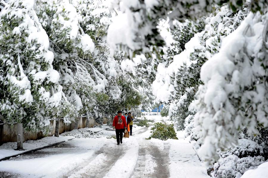 Citizens walk on a snowy road after snowfall in Hefei, capital of east China's Anhui Province, Feb. 19, 2013. A snowstorm hit Anhui province Tuesday morning and the local meteorological bureau has issued a yellow alert for the snowfall. (Xinhua/Liu Junxi) 