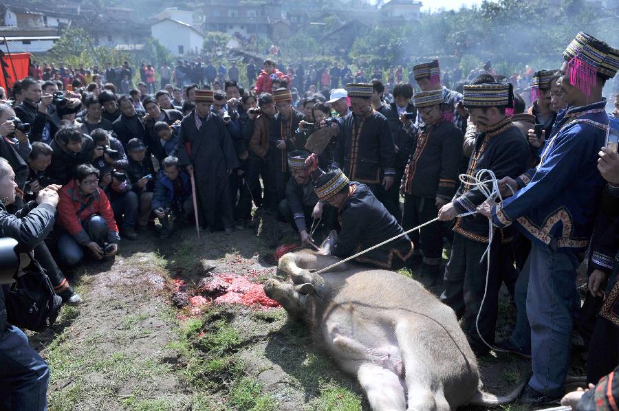 Villagers of Yao ethnic group sacrifice a bull to Panwang (King Pan), the legendary ancestor of the Yao people, at Shikou Village of Sanjiang Township in Gongcheng Yao Autonomous County, south China's Guangxi Zhuang Autonomous Region, Feb. 23, 2013. (Xinhua/Zhou Hua) 