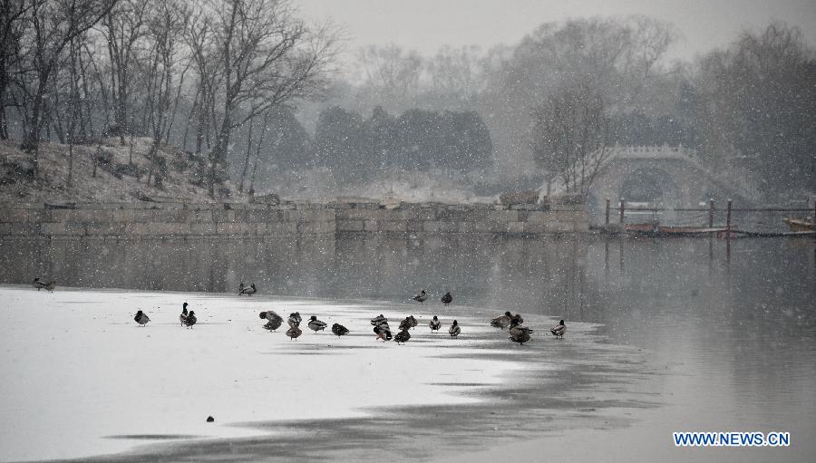 Photo taken on Feb. 25, 2013 shows the snow scenery at the Summer Palace in Beijing, capital of China. The city of Beijing embraced a light snow fall on Monday. (Xinhua/Li Xin)