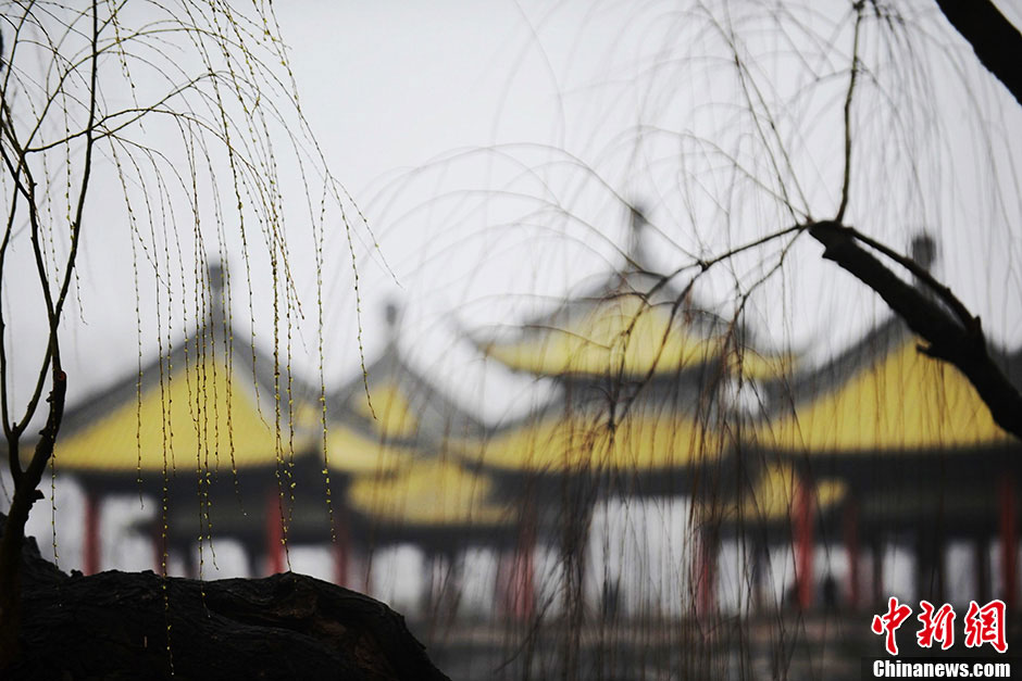 Photo taken on February 26 shows the beautiful scenery of the Slender West Lake, a well-known scenic spot in the city of Yangzhou in East China's Jiangsu Province.(CNS / Meng Delong)