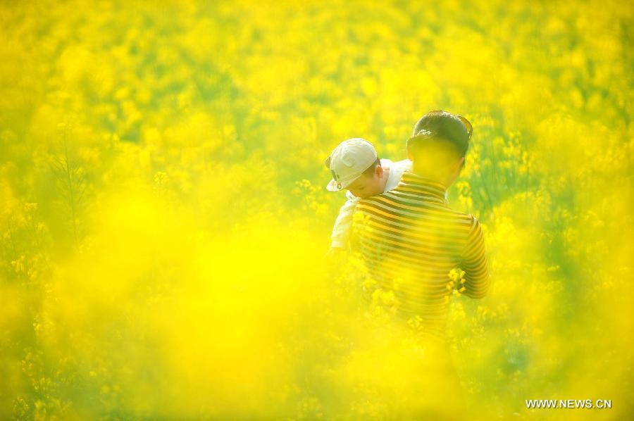 A tourist holding a child is seen in the field of rape flowers in Rong'an County of southwest China's Guangxi Zhuang Autonomous Region, March 5, 2013. Rape flowers began to blossom as temperature went up here, attracting large amount of tourists. (Xinhua/Huang Xiaobang)