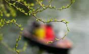 Spring comes to Jinan, China's Shandong