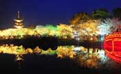 Beautiful night view of Moshan Hill Scenic Spot