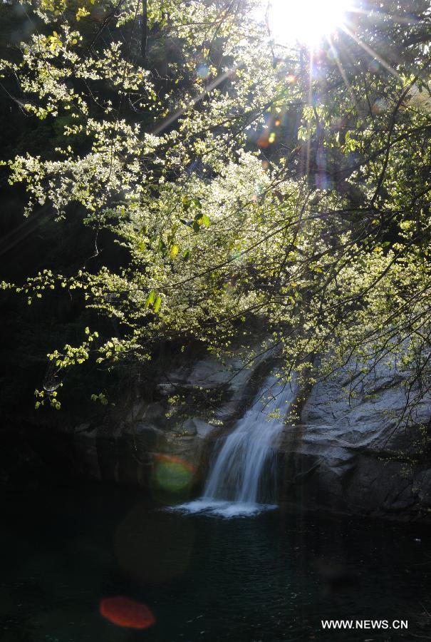 Photo taken on April 10, 2013 shows the scenery of Huangshan Mountain in east China's Anhui Province. (Xinhua/Yan Yan)