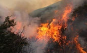 Forest fire rages in SW China's Yunnan